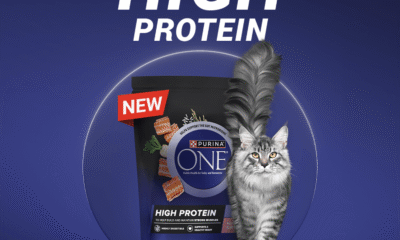 Free Purina ONE High Protein Cat Food
