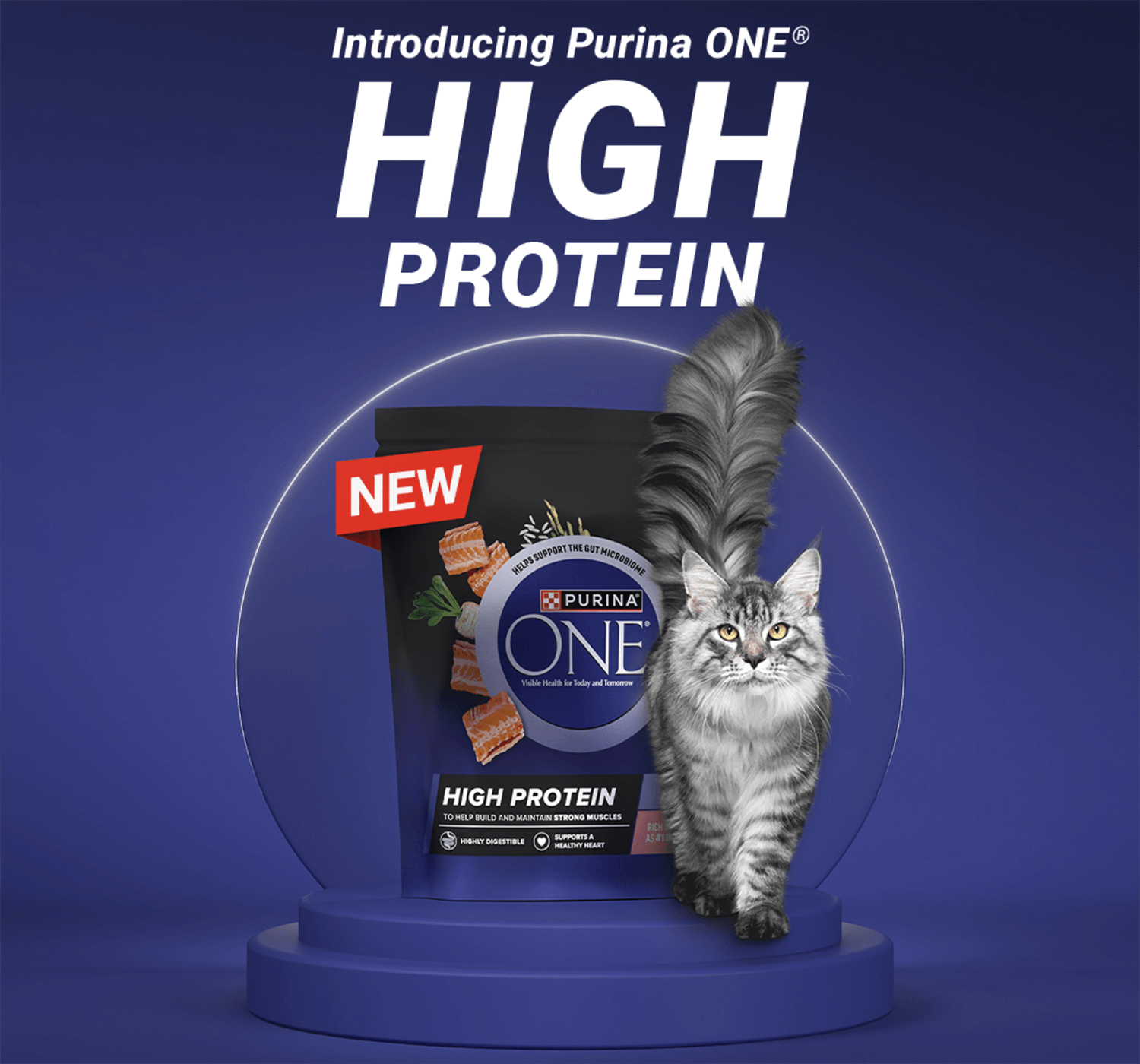Free Purina ONE High Protein Cat Food