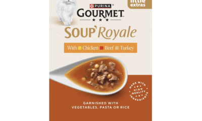 Free Gourmet Cat Food