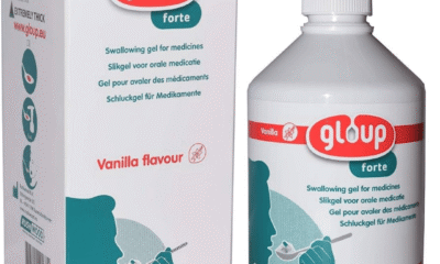 Free Gloup Vanilla Flavour Sachet