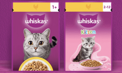 Free Whiskas Cat Food