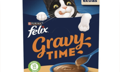 Free Felix Gravy Time Samples
