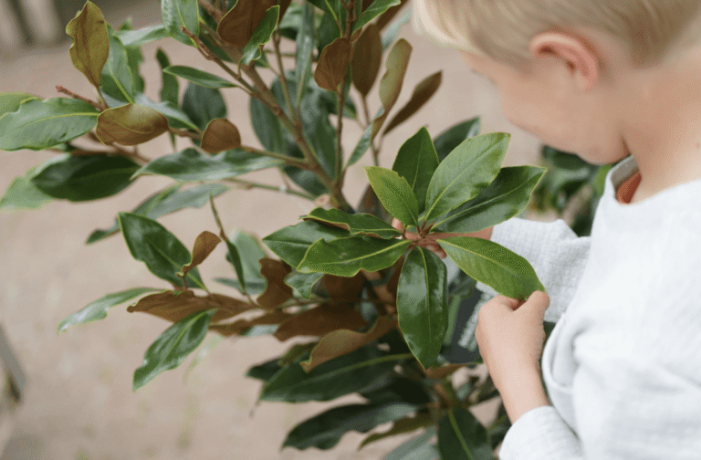 Free Paper Plate Wreath Kids Event