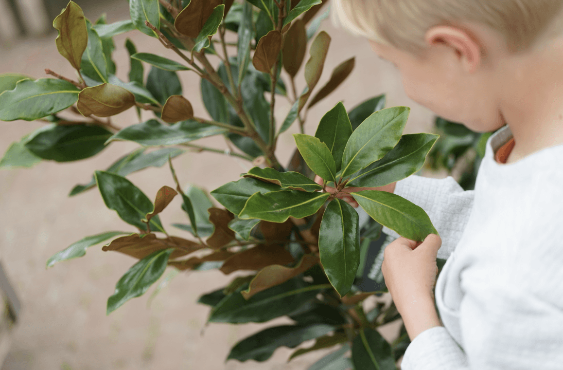 Free Paper Plate Wreath Kids Event
