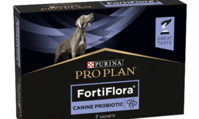 Free Purina Fortiflora Dog Supplement