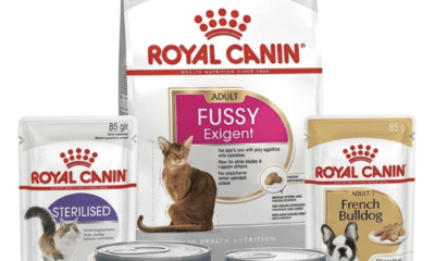 Free Royal Canin Pet Food