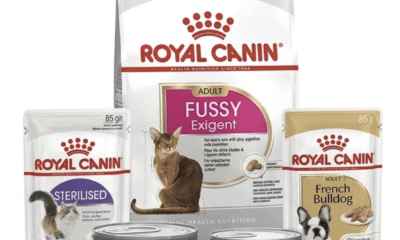 Free Royal Canin Pet Food