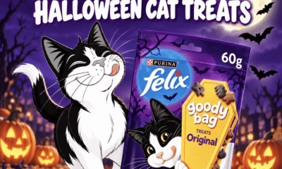 Win Purina Felix Halloween Cat Treats